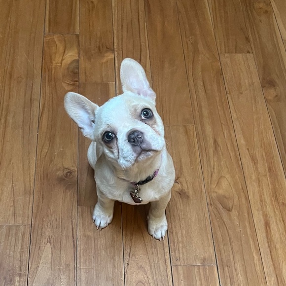 Meet your Posher - Picture 1 of 1